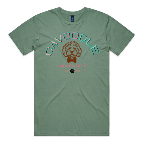 CAVOODLE TEE COLLECTION